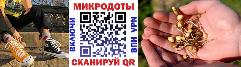 магазин    OMG зеркало  Галлюциногенные грибы ЛСД  Цимлянск 